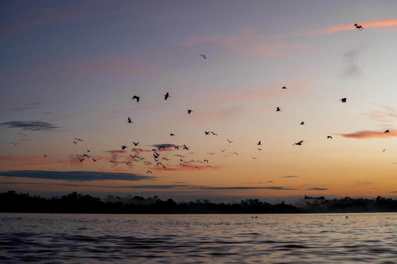 Aemak Iquitos Ecolodge Santa Clara 외부 사진
